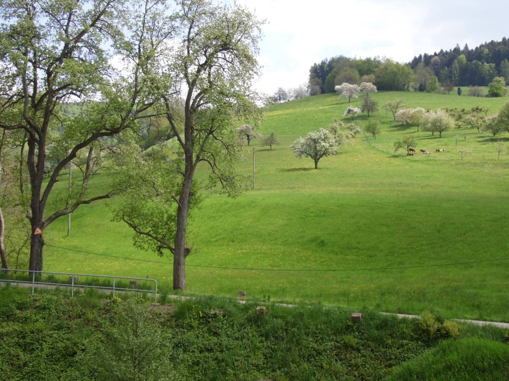 Um's Haus - Blick vom Balkon, zum Hohetag und Dobel