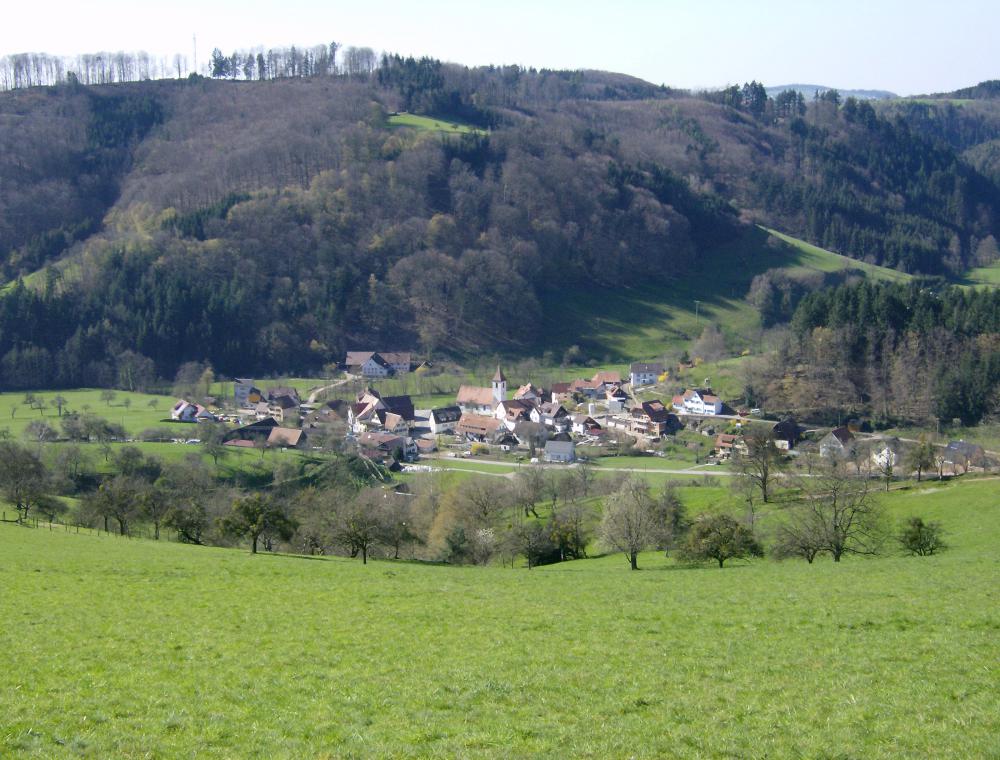 Die Umgebung - Reichenbach vom Hohetag gesehen